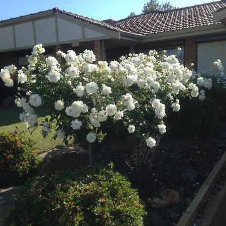 Murdoch Station Bed & Breakfast Perth Kültér fotó