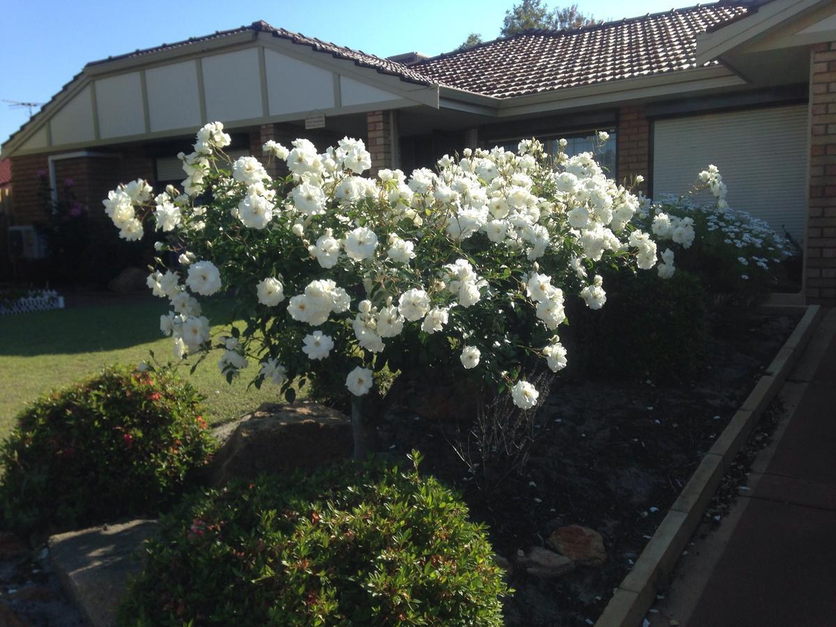 Murdoch Station Bed & Breakfast Perth Kültér fotó